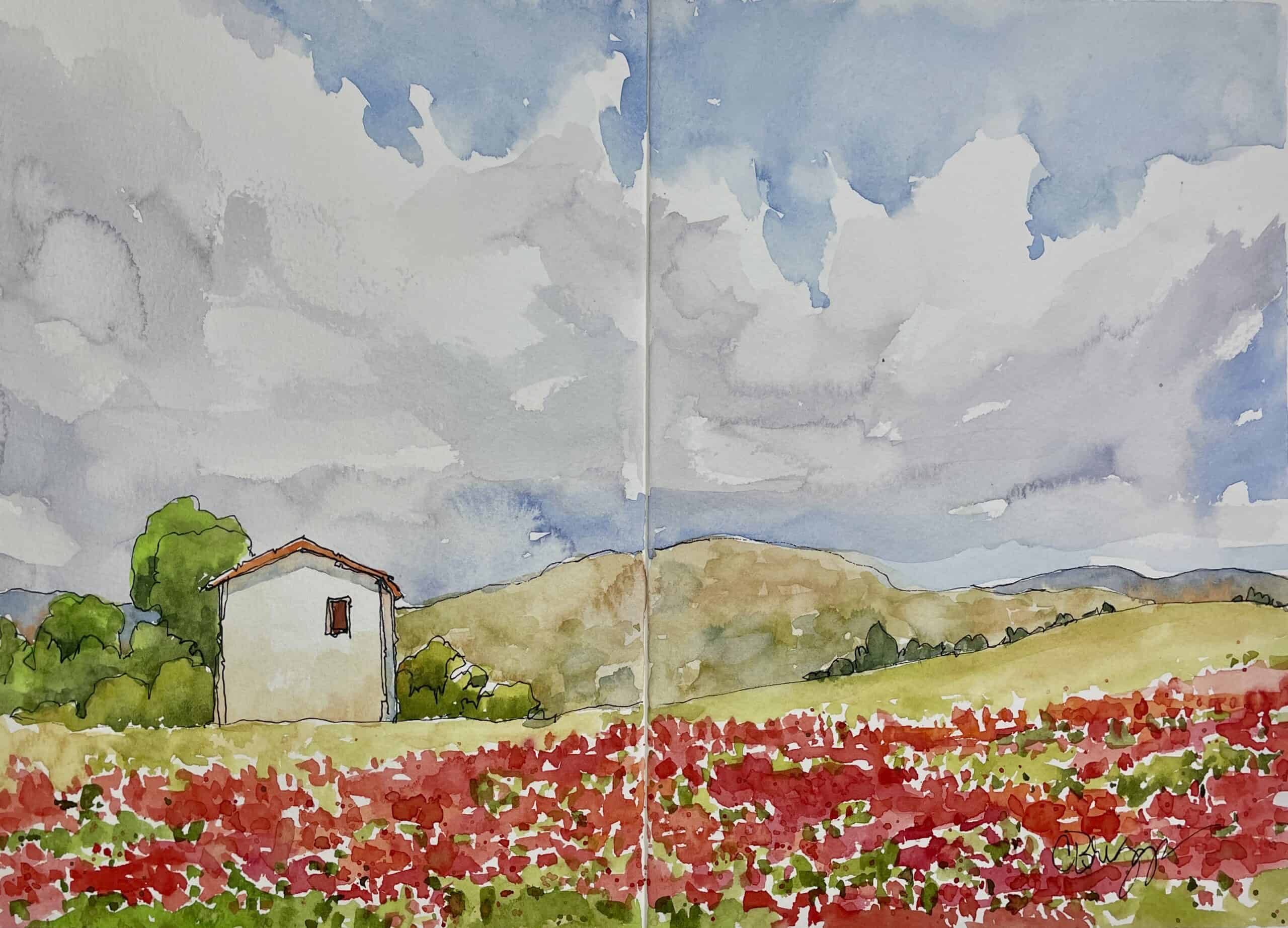 Poppies in Provence Plein air watercolor palette for painting colorful skies