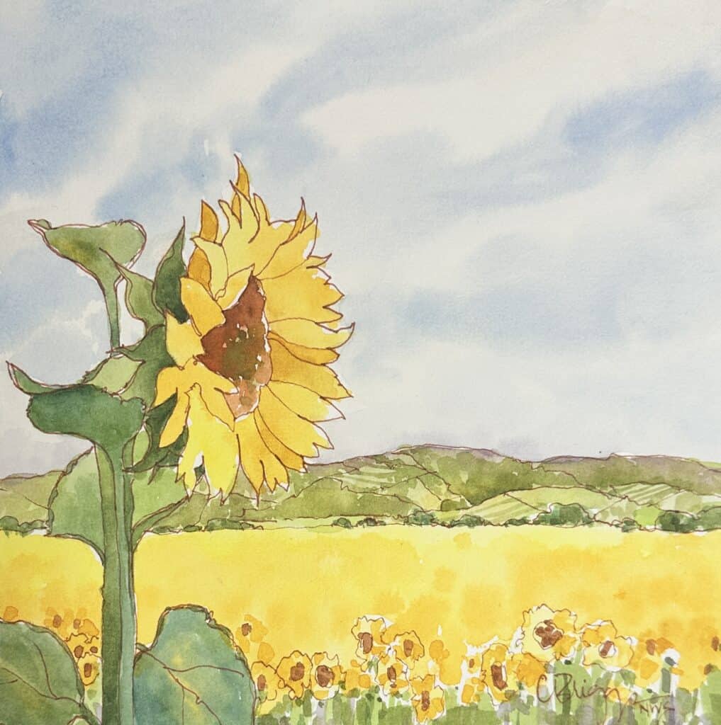 Sunflower field watercolor landscape inspiration Sunflower field watercolor landscape inspiration