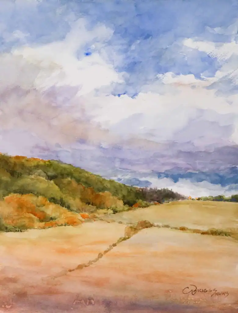 After the Rain scaled 1 After the Rain - Walden, Colorado Cindy Briggs Art Watercolor Painting