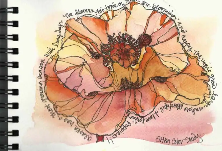 Poppy-Sketch-1024x699-1.webp