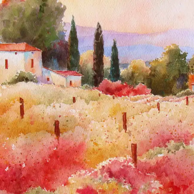 Val-dOrcia-Vineyard
