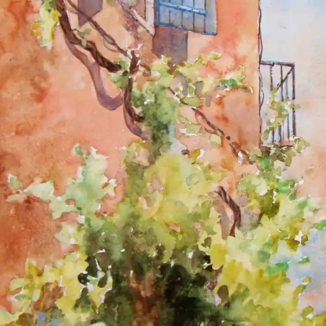 Couleurs-de-la-Provence-scaled-1.webp