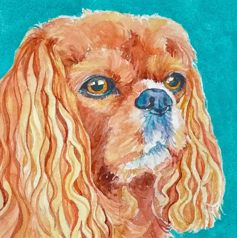 Bella 8 X 8 Watercolor Sold