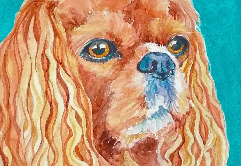 Bella 8 X 8 Watercolor Sold