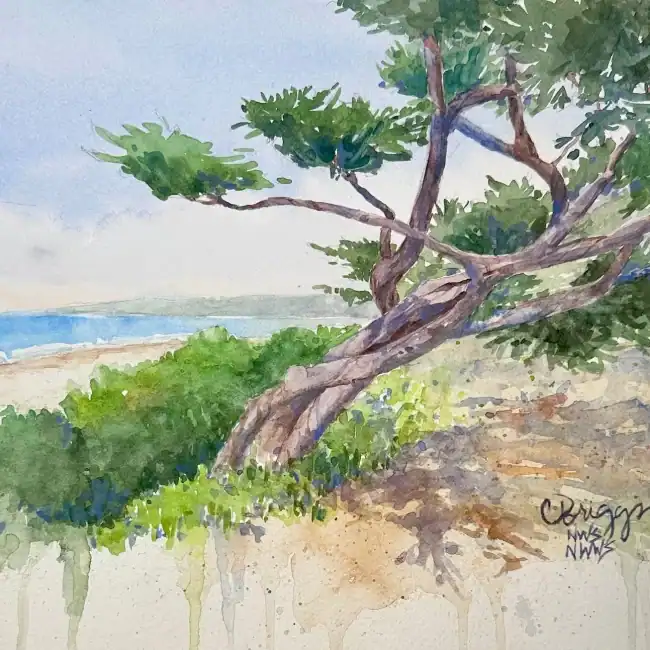 Carmel Beach Cypress 8 X 10 600 Plus Mat, watercolor art by Cindy Briggs
