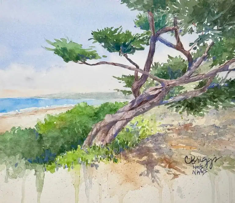 Carmel Beach Cypress 8 X 10 600 Plus Mat, watercolor art by Cindy Briggs