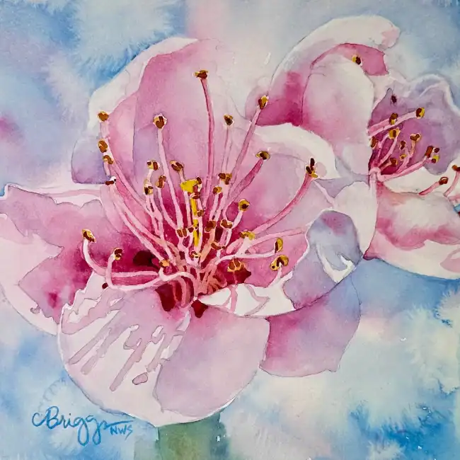 Double Happiness Cherry Blossoms 8x8 Watercolor W Matt