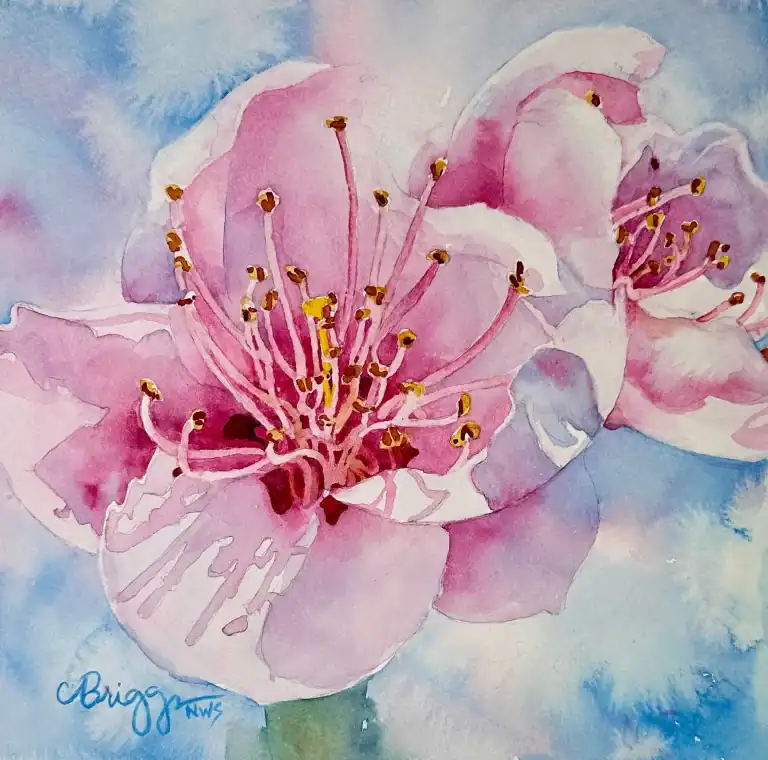 Double Happiness Cherry Blossoms 8x8 Watercolor W Matt