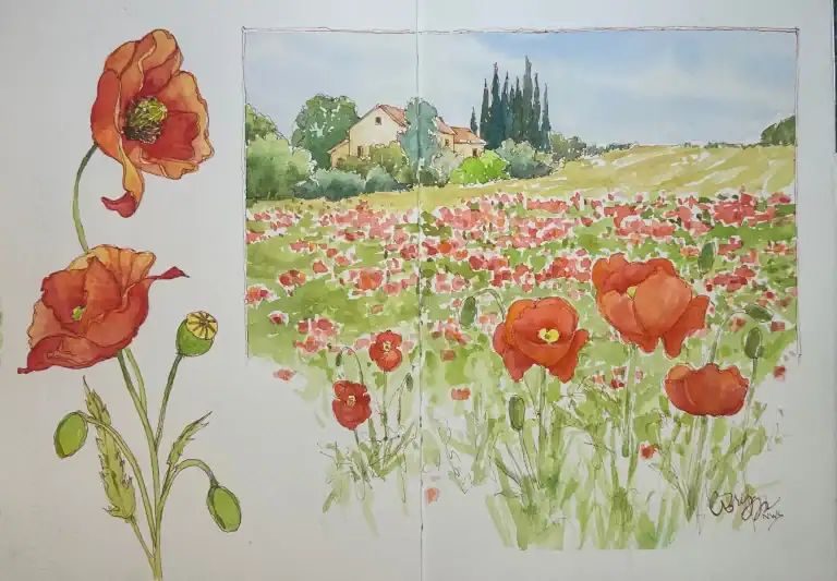 French Farmhouse Poppies Ink Watercolor 10 X 14 Sketchbook