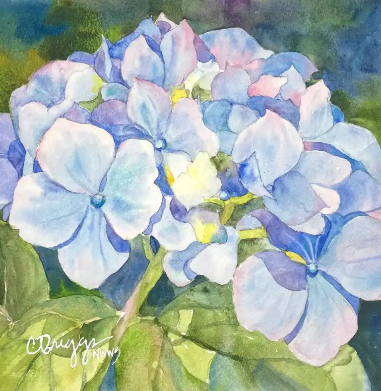 Hydrangia Watercolor 8x8 W Mat 550