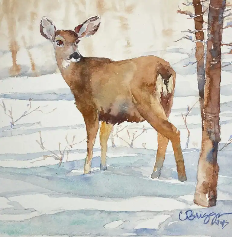 In My Back Yard 8 X 8 Watercolor