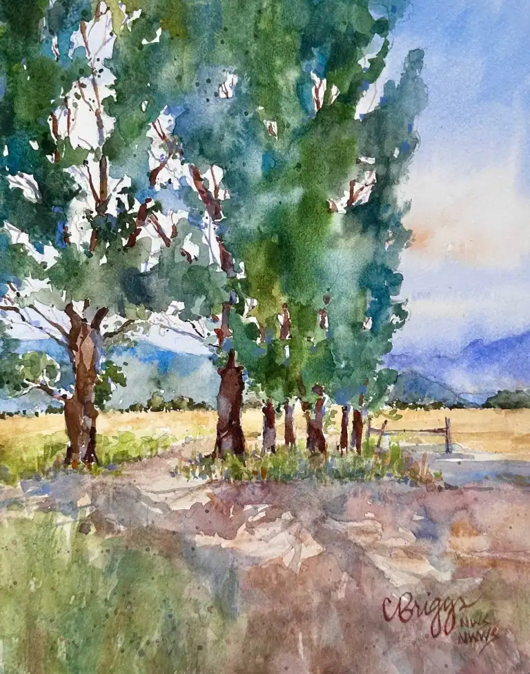 Jackson Light Wyoming 10 X 8 Watercolor 900 with Mat