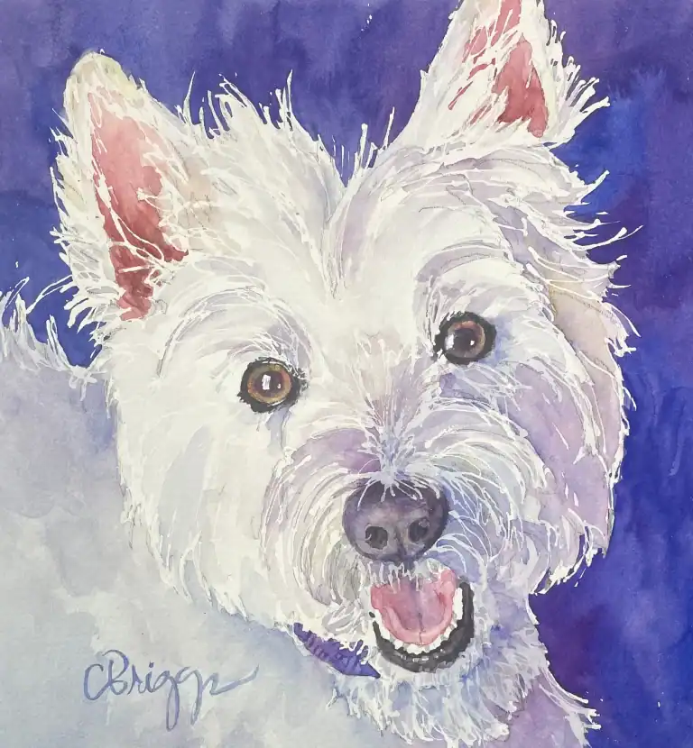 Kenzie 8x8 Watercolor Gift