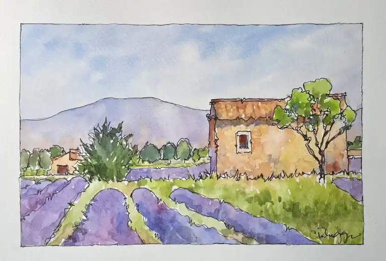 Lavender in Provence 6 X 8 Quick Sketch Watercolor