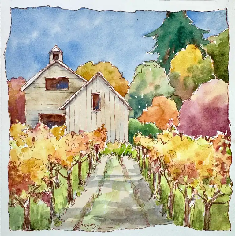 Napa Valley Vineyard Quick Sketch 8 X