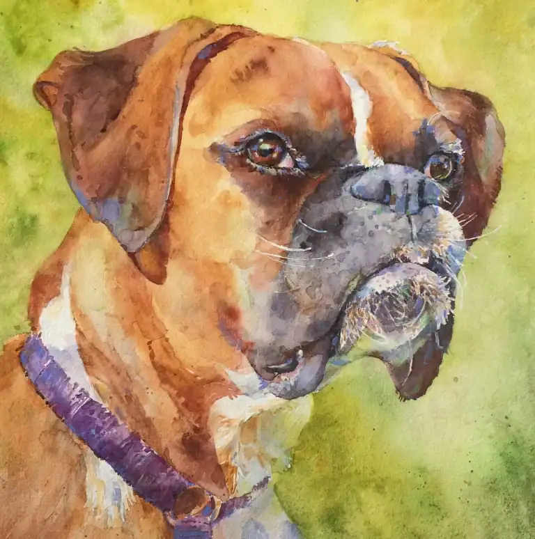 Pet Portrait Commission Watercolor 8 X