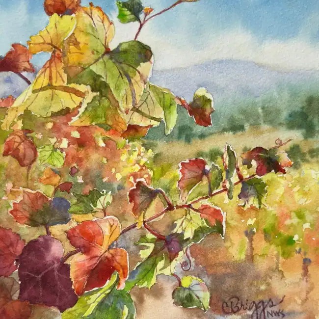 Santa Ynez Vines 10 X 8 Watercolor