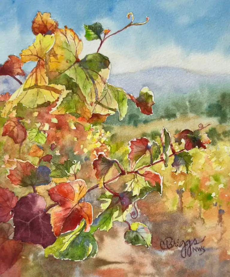 Santa Ynez Vines 10 X 8 Watercolor