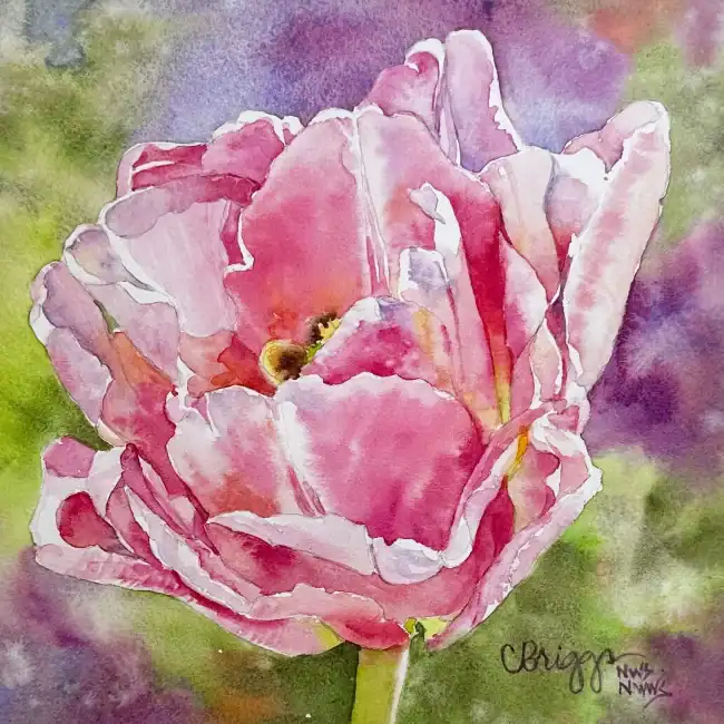 Spring Tulip Watercolor 8 X 8 W Mat
