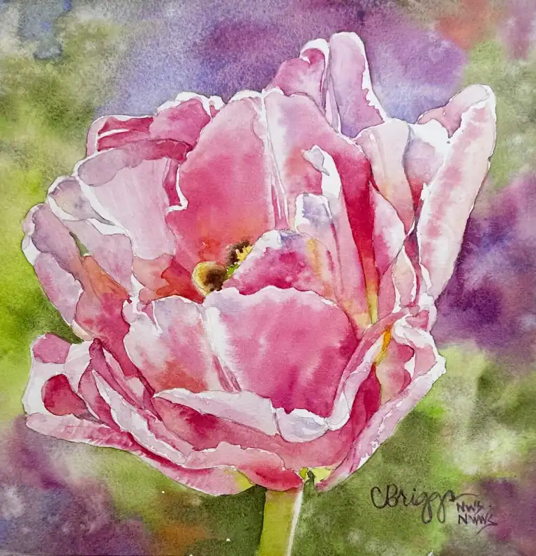 Spring Tulip Watercolor 8 X 8 W Mat