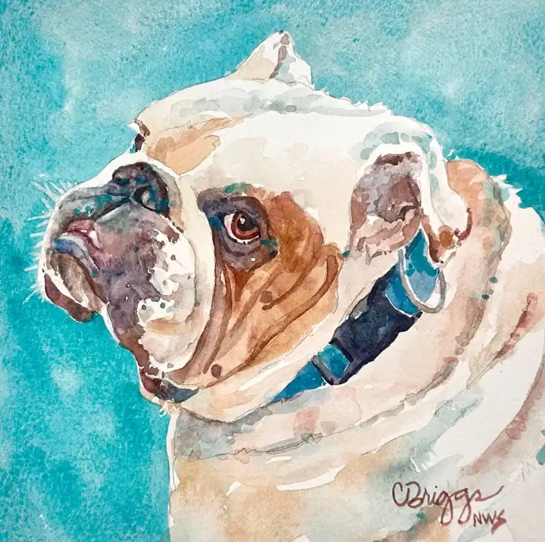 Winston in Provence 8 X 8 550 W Mat Watercolor