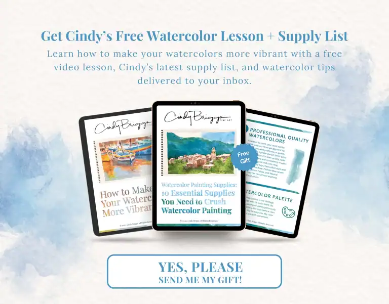 Watercolor painting supplies and instructional materials from Cindy Briggs.